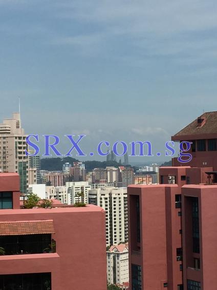 OUE Twin Peaks (D9), Condominium #129604032